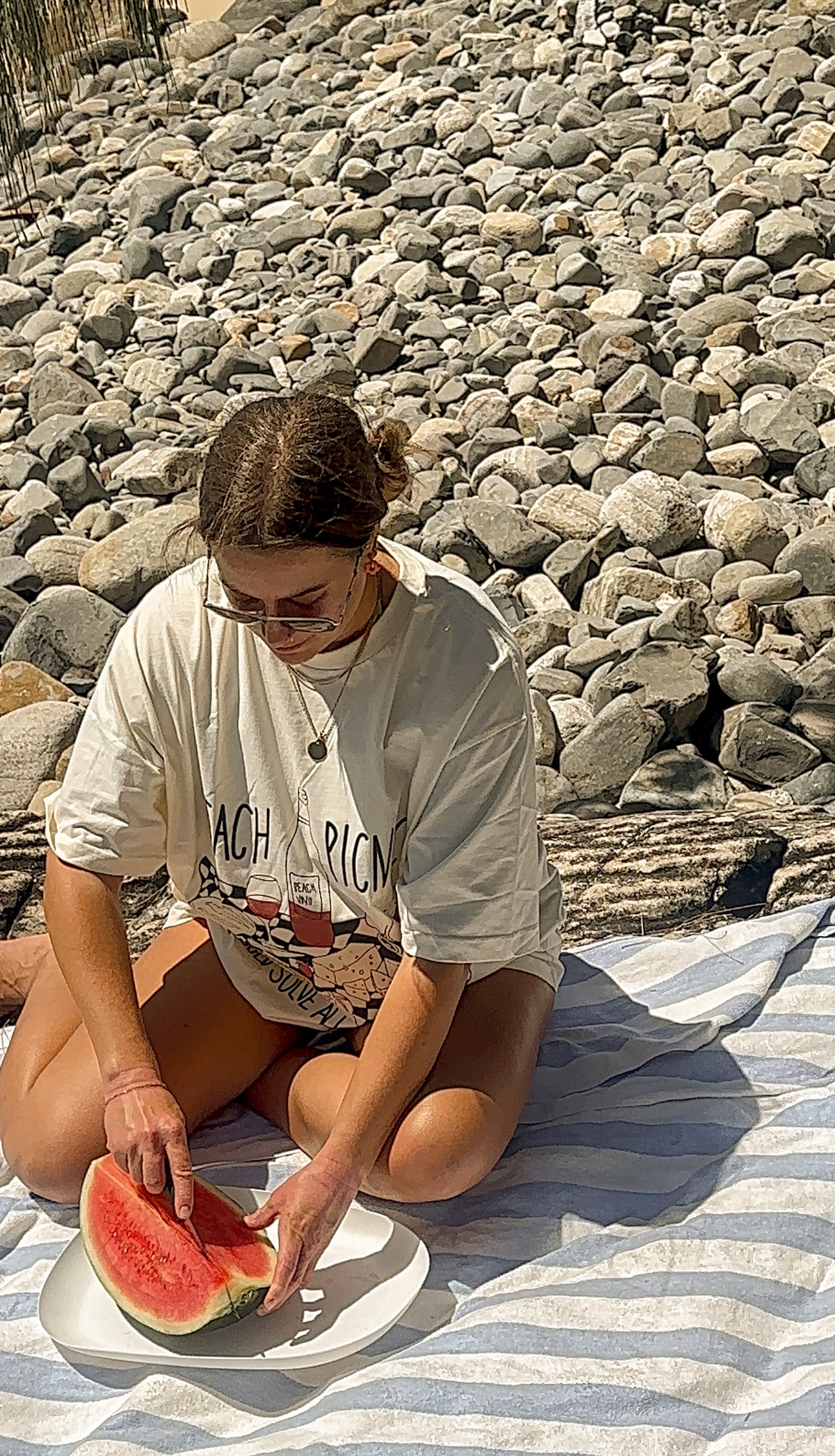 'beach picnic would solve all my problems' tee